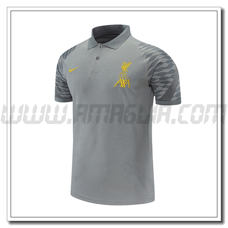 Maglia Polo FC Liverpool Grigio 2021 2022