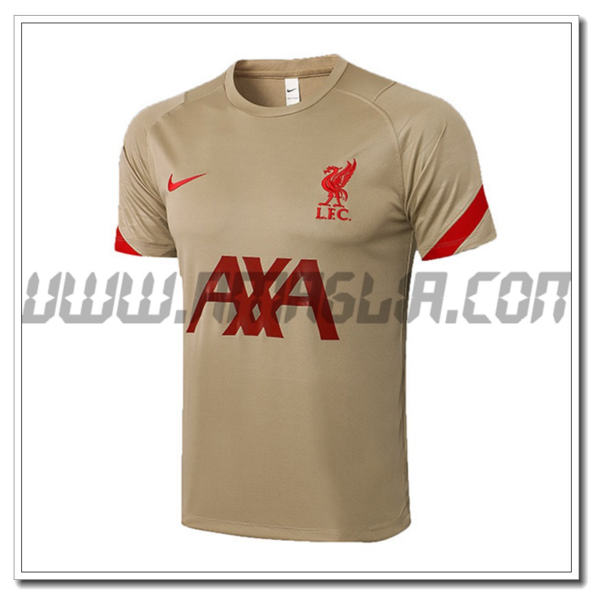 Maglia Allenamento FC Liverpool Brun 2021 2022