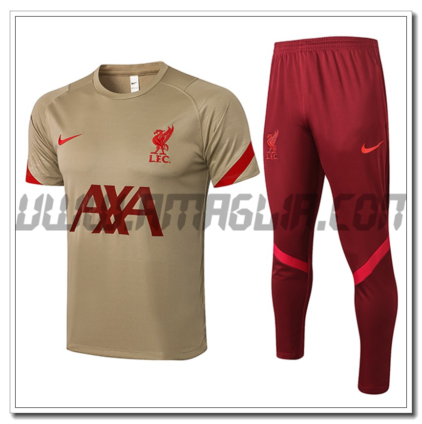 Kit Maglia Allenamento FC Liverpool + Pantaloni Brun 2021 2022