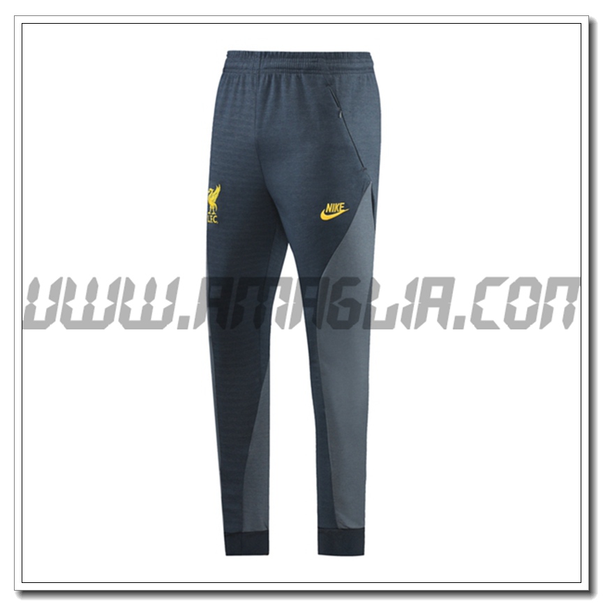 Pantaloni Allenamento FC Liverpool Grigio 2021 2022