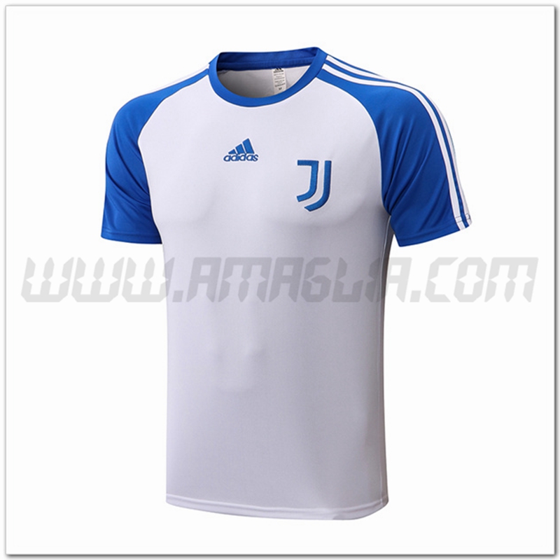Maglia Allenamento Juventus Bianco/Blu 2022 2023
