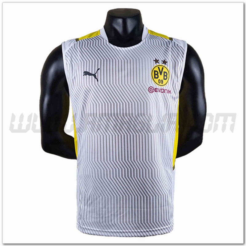 Maglia Allenamento Senza Maniche Dortmund BVB Grigio 2022 2023