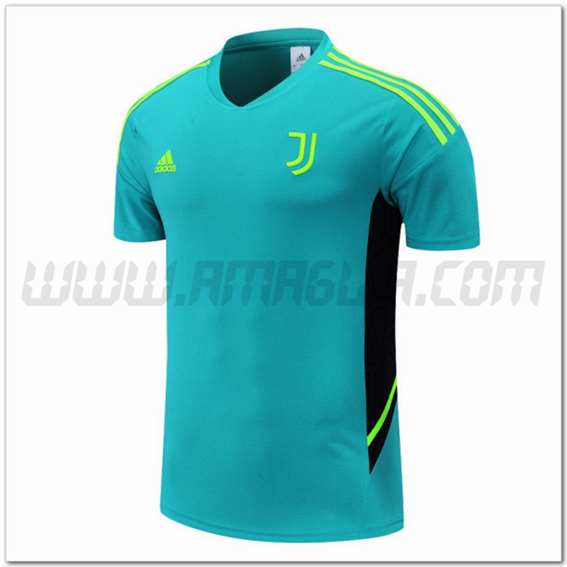 Maglia Allenamento Juventus Verde 2022 2023