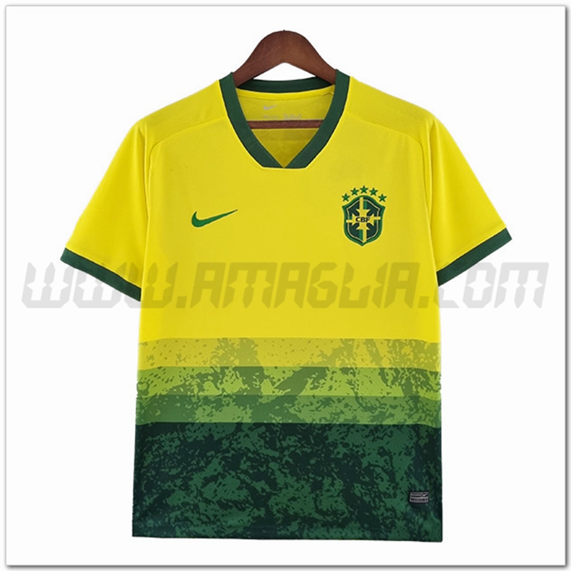 Maglia Squadra Brasile Edizione speciale 2022 2023 Giallo