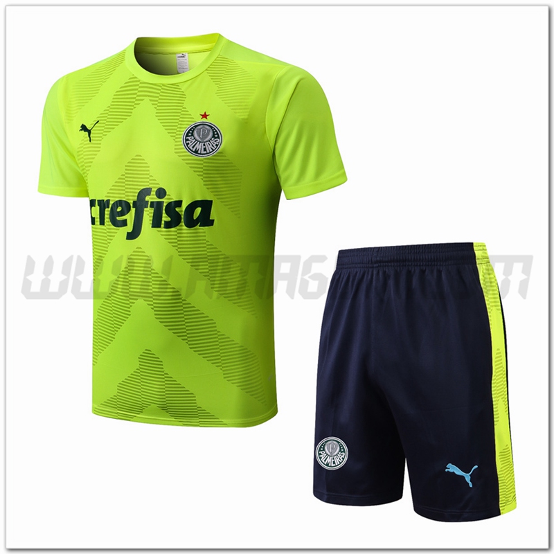 KIT Maglia Allenamento Palmeiras + Pantaloncini Verde 2022 2023