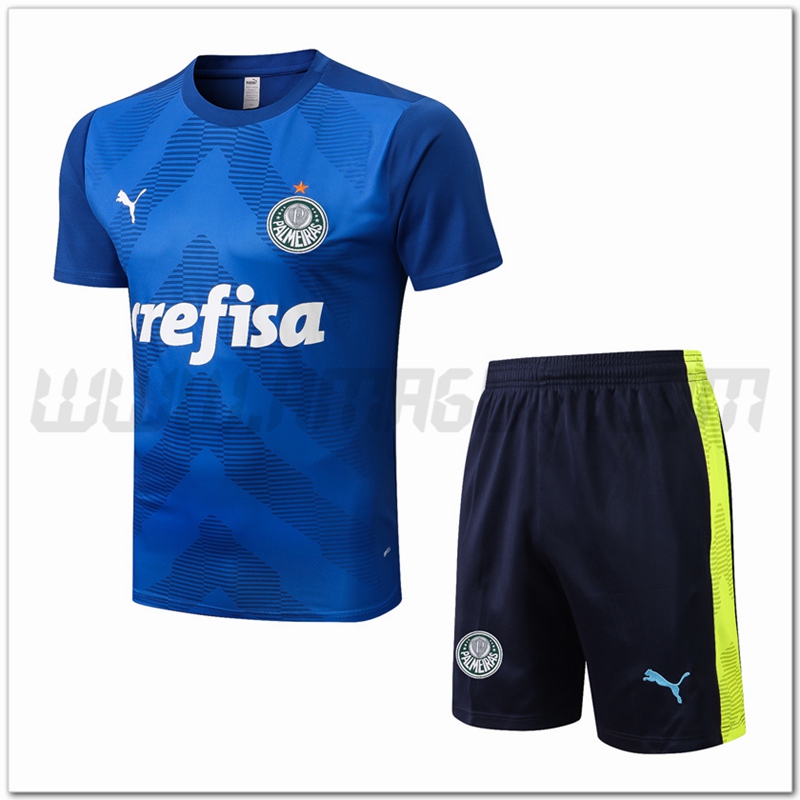 KIT Maglia Allenamento Palmeiras + Pantaloncini Blu 2022 2023
