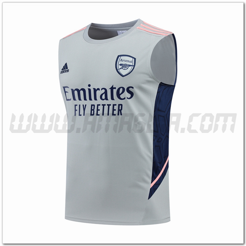 Canotta da Allenamento Arsenal Grigio 2022 2023