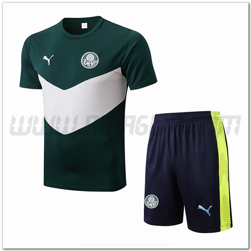 KIT Maglia Allenamento Palmeiras + Pantaloncini Verde/Bianco 2022 2023
