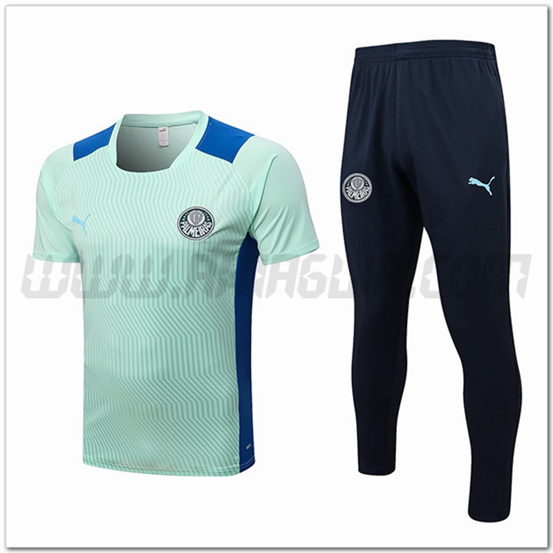 KIT Maglia Allenamento Palmeiras + Pantaloni Verde 2022 2023