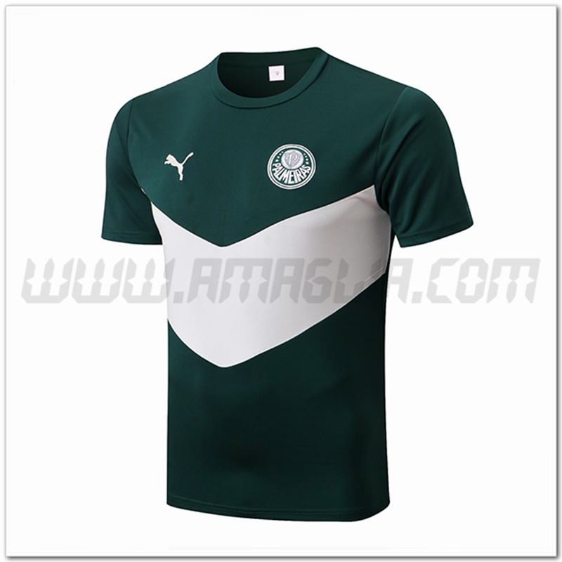 Maglia Allenamento Palmeiras Verde/Bianco 2022 2023