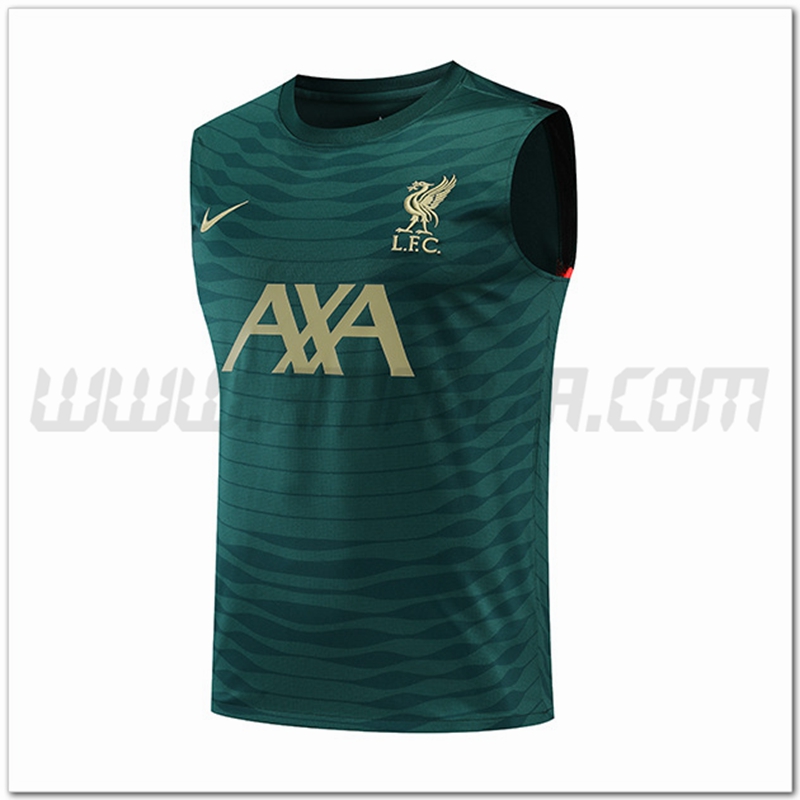 Canotta da Allenamento FC Liverpool Verde 2022 2023