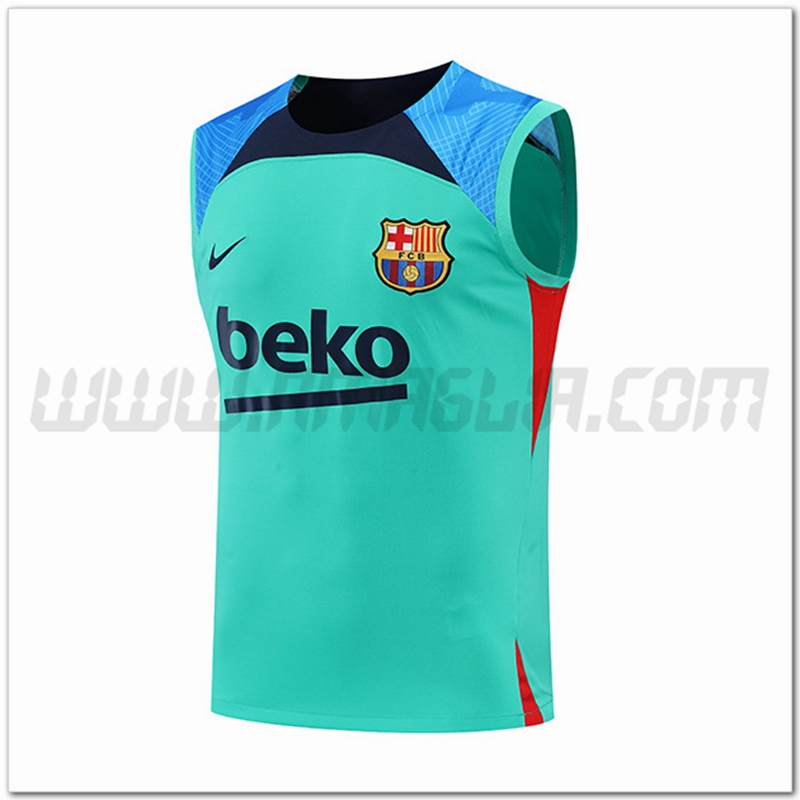 Canotta da Allenamento FC Barcellona Blu/Verde 2022 2023