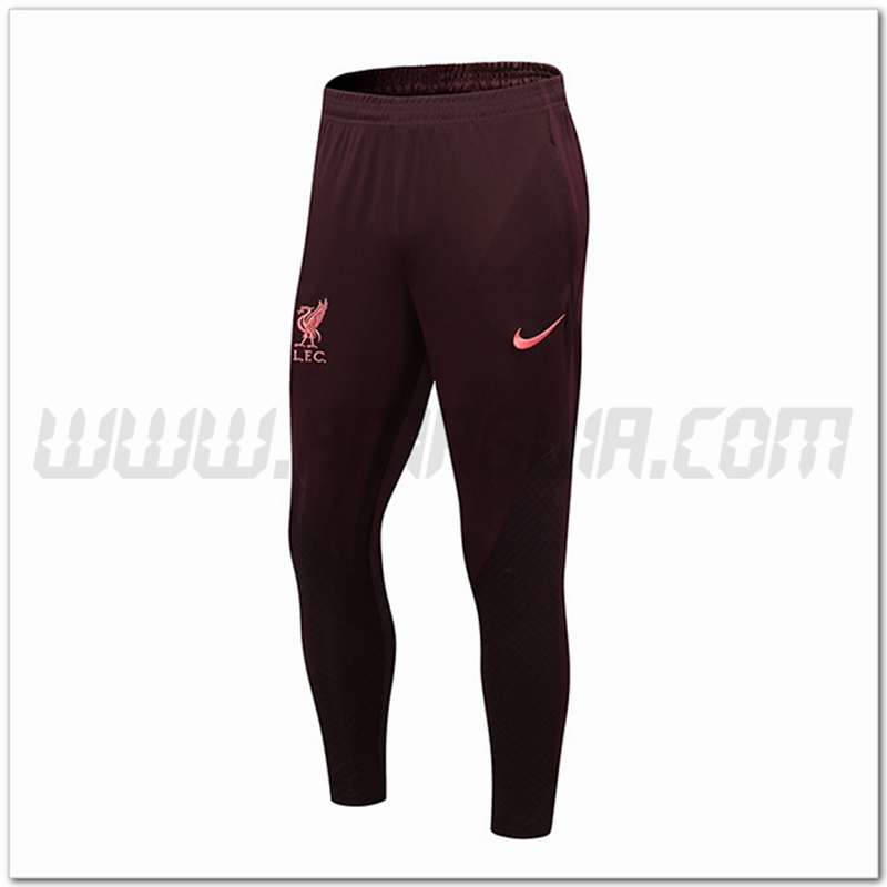 Pantaloni Allenamento FC Liverpool Marrone 2022 2023