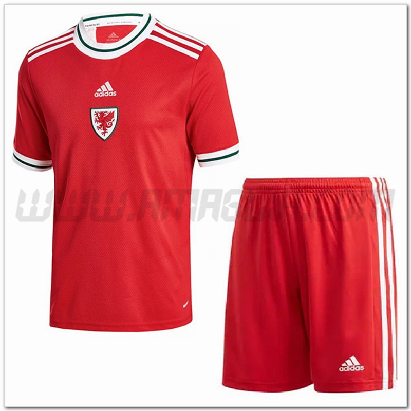 Kit Maglia Galles Bambino Prima 2022 2023