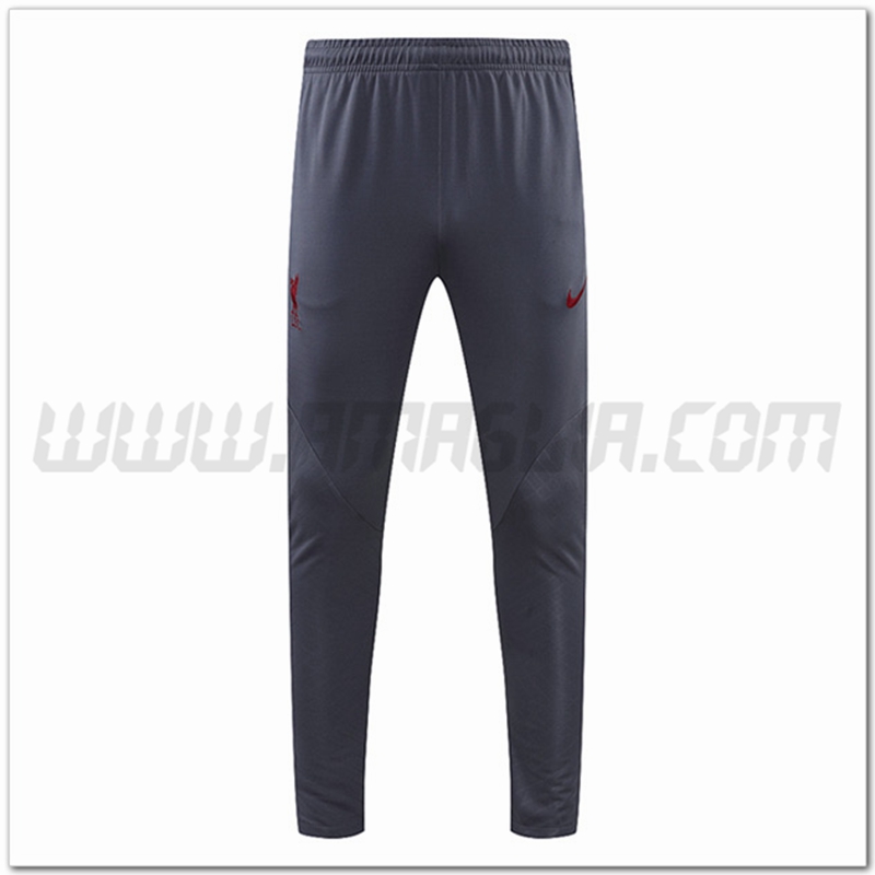 Pantaloni Allenamento FC Liverpool Grigio 2022 2023