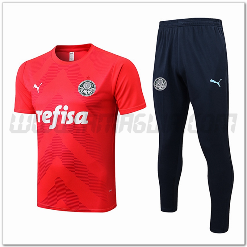 Kit Maglia Allenamento Palmeiras + Pantaloni Rosso 2022 2023