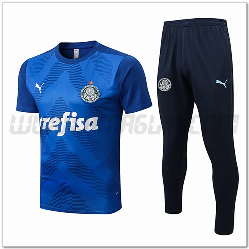 Kit Maglia Allenamento Palmeiras + Pantaloni Blu 2022 2023