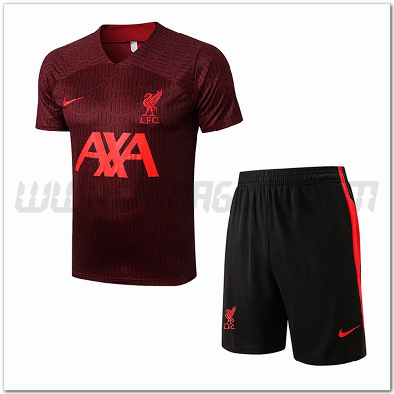 Kit Maglia Allenamento FC Liverpool + Pantalonicini Brun 2022 2023