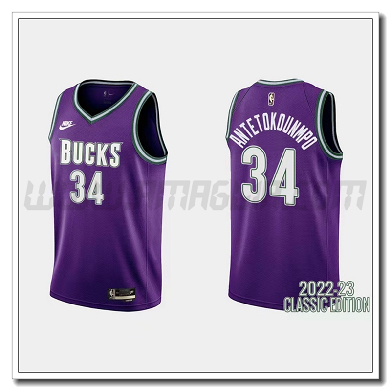 Maglia Brooklyn Nets (ANTETOKOUNMPO #34) 2022/23 Viola