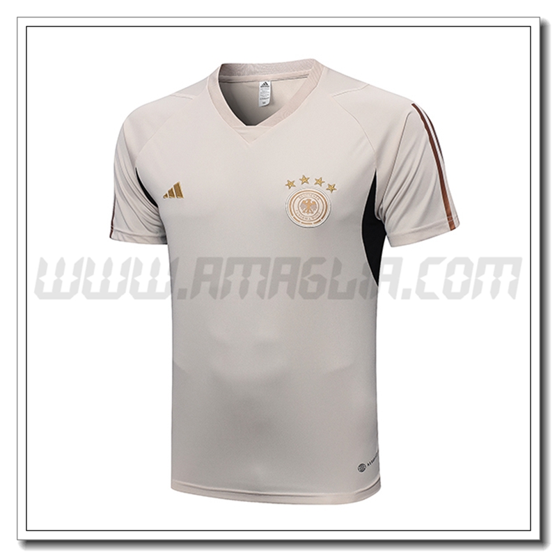 Maglia Allenamento Germania Grigio Chiara 2022 2023