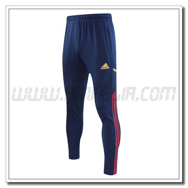 Pantaloni Allenamento AFC Ajax Blu Marino 2022 2023