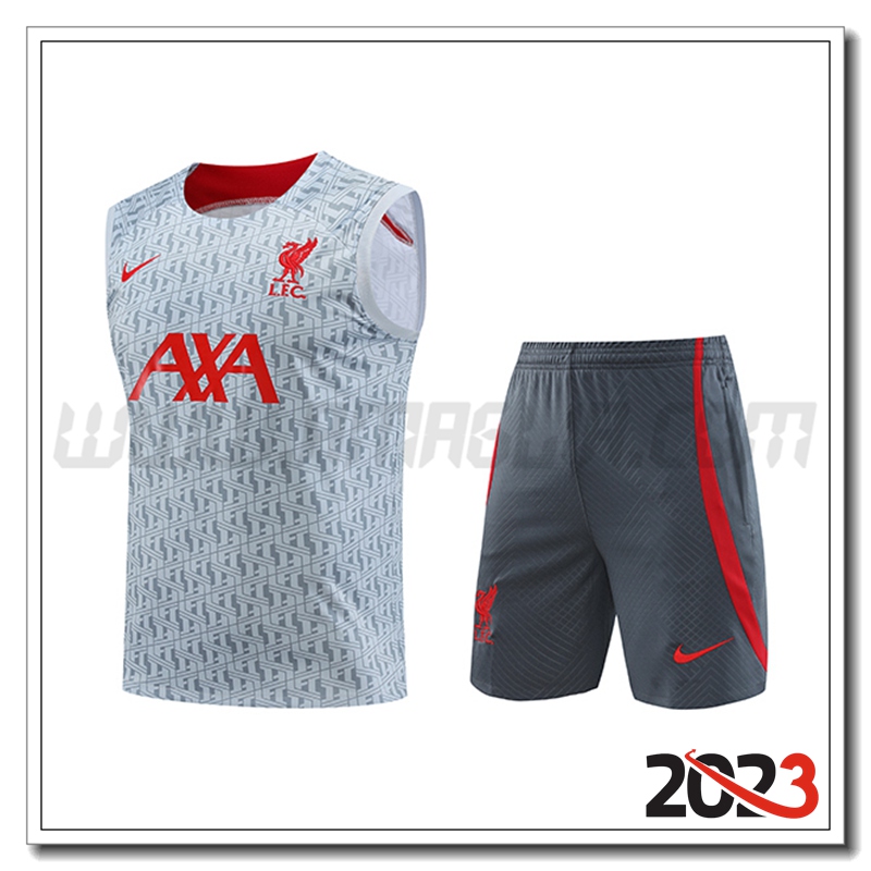 Canotta da Allenamento + Pantaloncini FC Liverpool Grigio 2023 2024