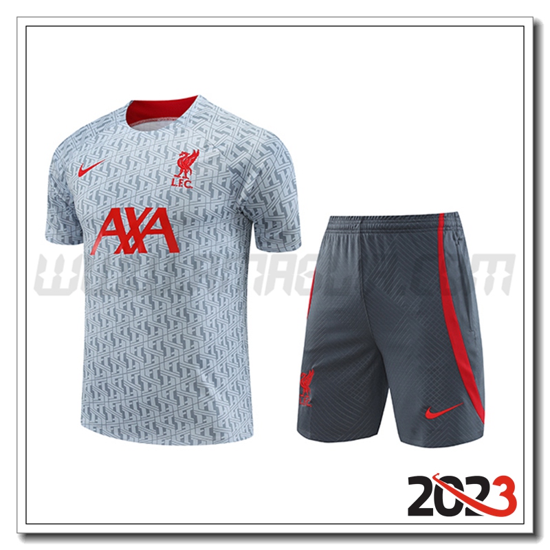 KIT Maglia Allenamento + Pantaloncini FC Liverpool Grigio 2023 2024