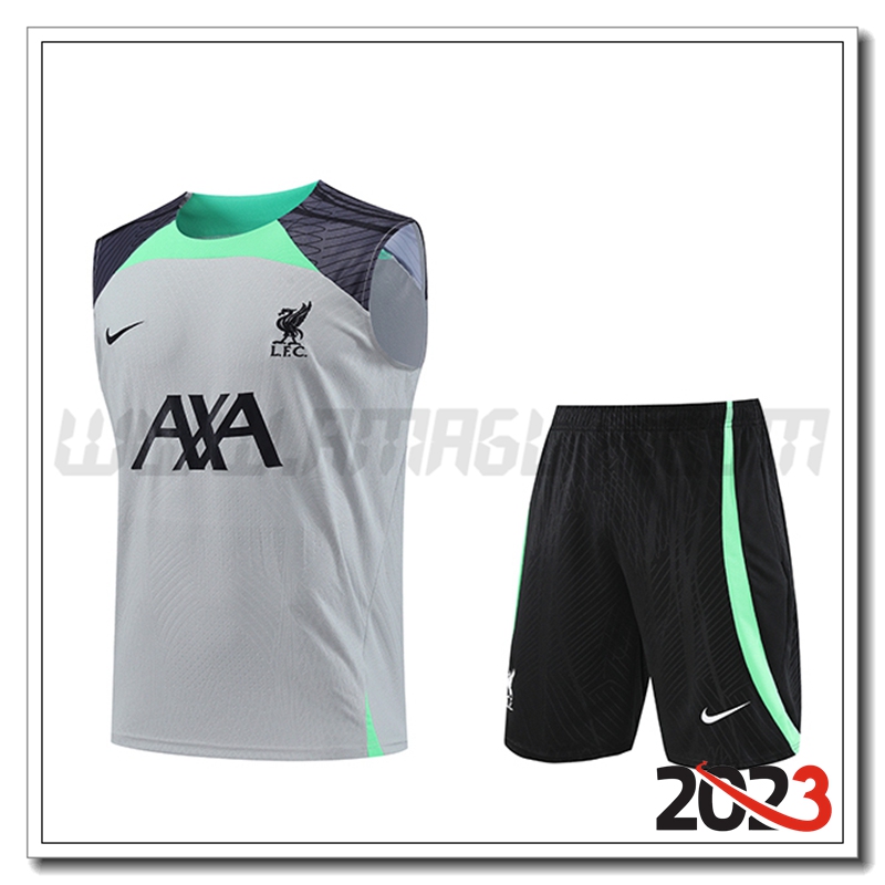 Canotta da Allenamento + Pantaloncini FC Liverpool Grigio 2023 2024