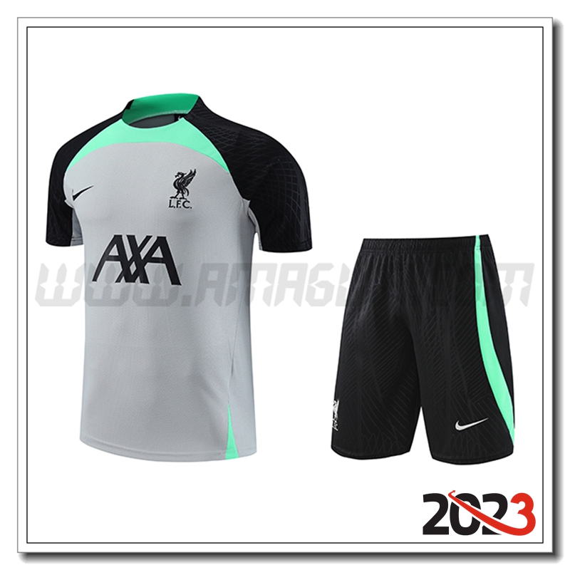 KIT Maglia Allenamento + Pantaloncini FC Liverpool Grigio 2023 2024