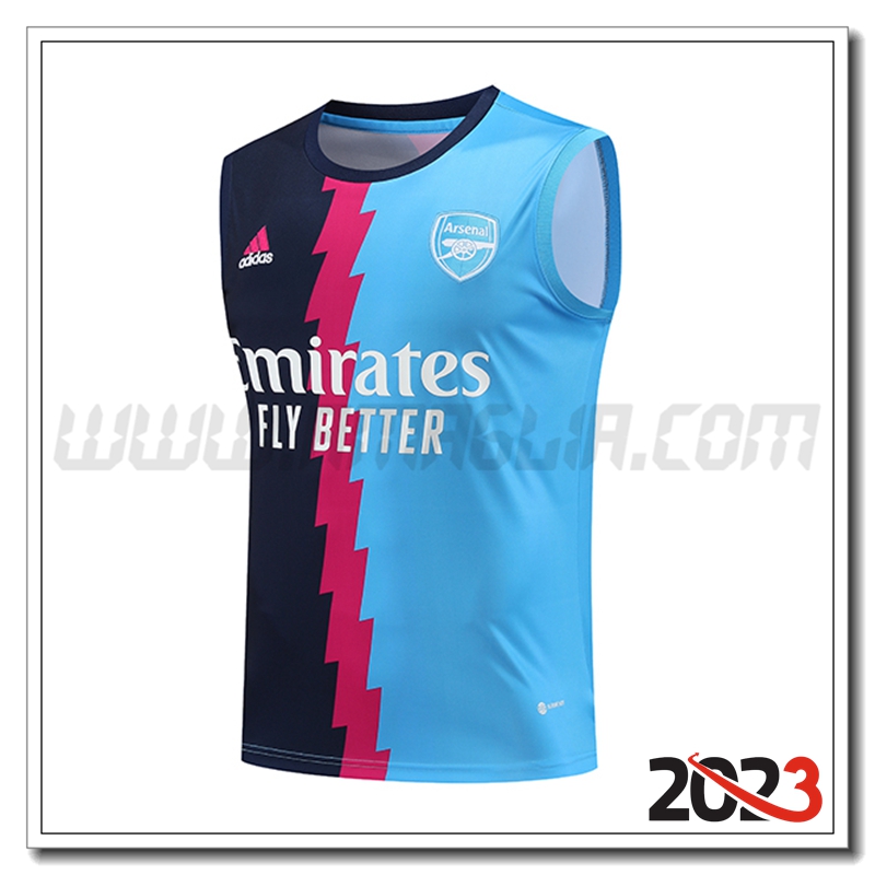 Canotta da Allenamento Arsenal Blu 2023 2024