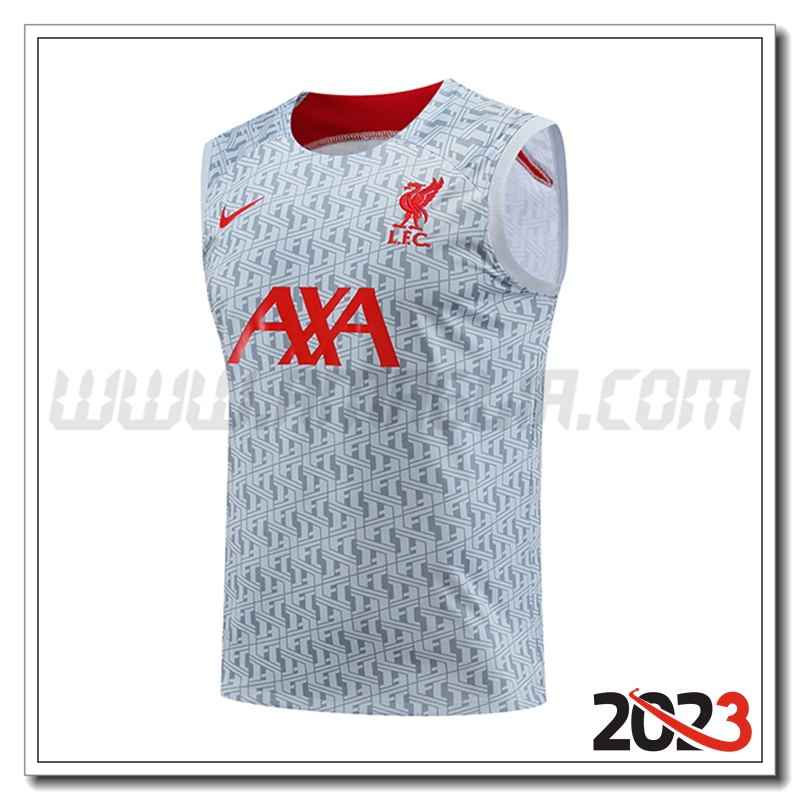 Canotta da Allenamento FC Liverpool Grigio 2023 2024