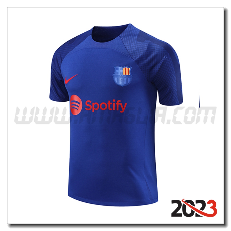 Maglia Allenamento PSG Jordan Rosso 2023 2024