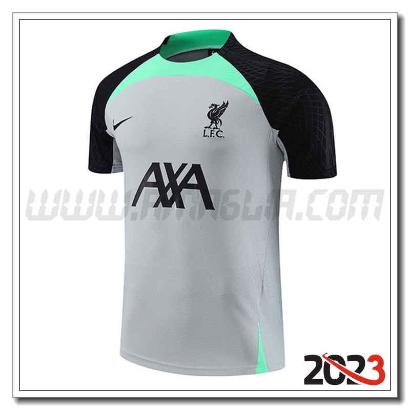 Maglia Allenamento FC Liverpool Grigio 2023 2024