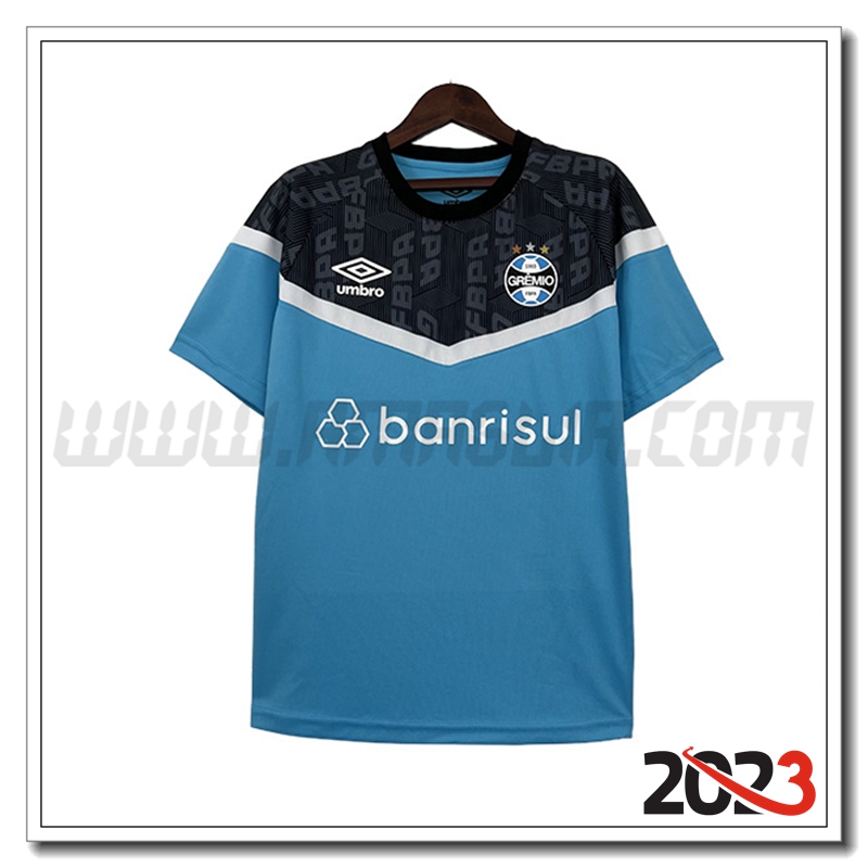 Maglia Allenamento Guilde Blu Chiaro 2023 2024