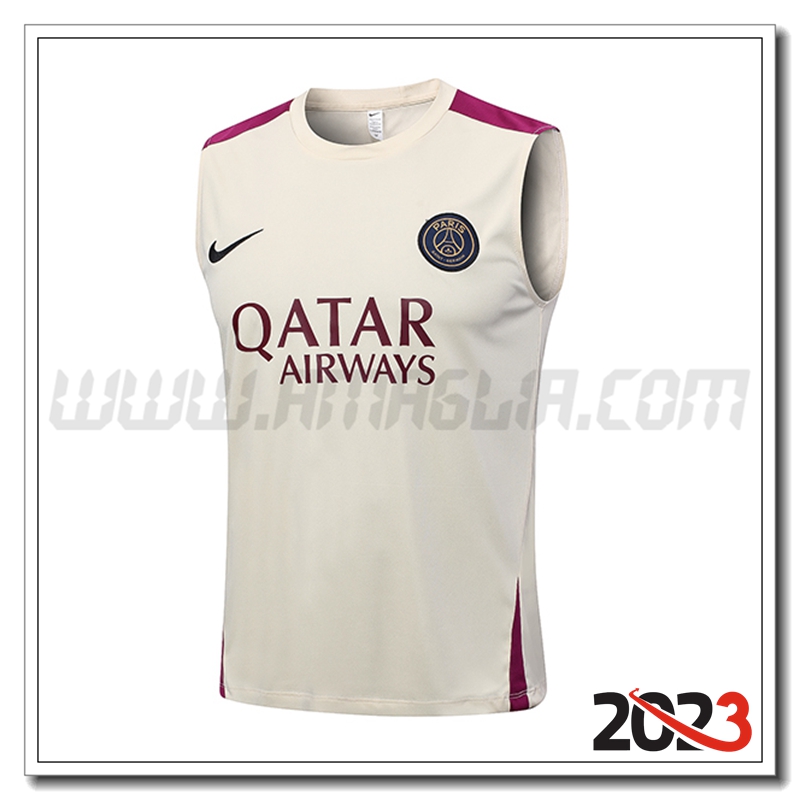 Canotta Allenamento PSG Giallo 2023 2024