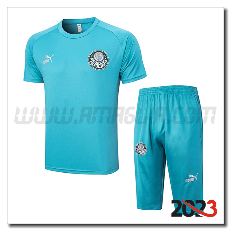 Kit Maglia Allenamento Palmeiras + Pantaloncini Verde 2023 2024