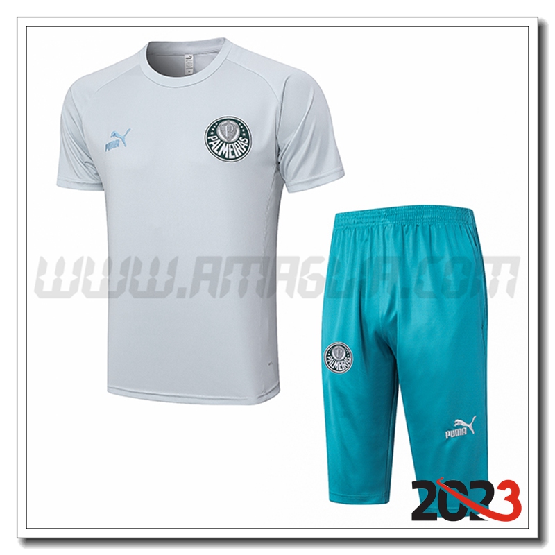 Kit Maglia Allenamento Palmeiras + Pantaloncini Grigio Chiaro 2023 2024