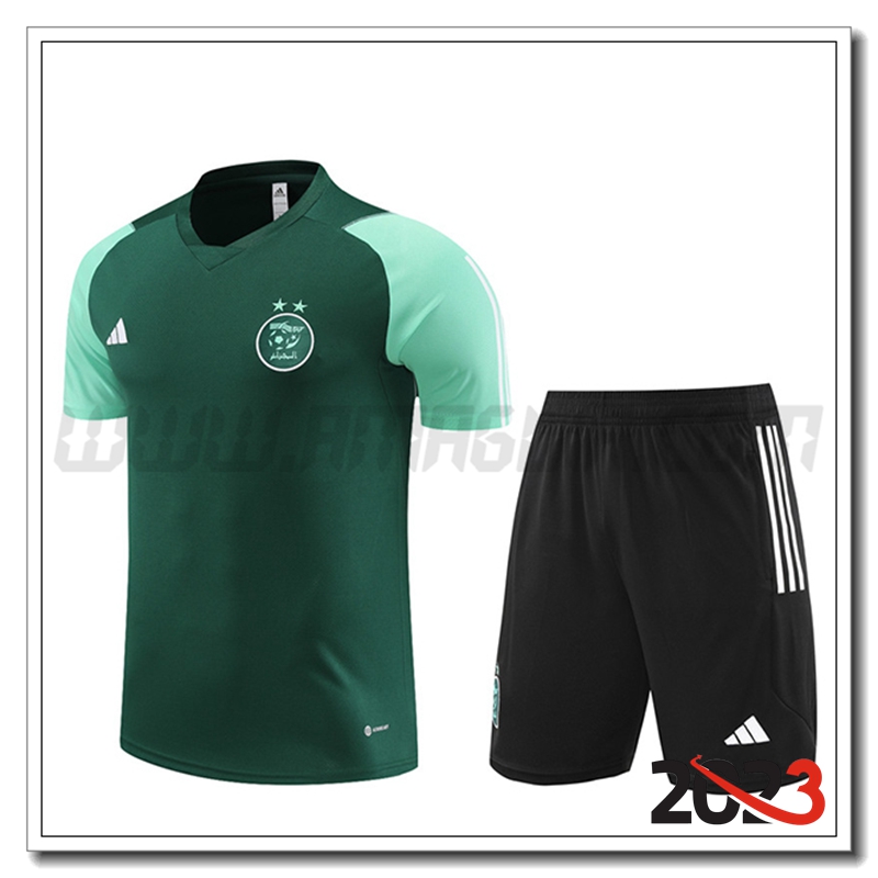 Kit Maglia Allenamento Algeria + Pantaloncini Verde 2023 2024