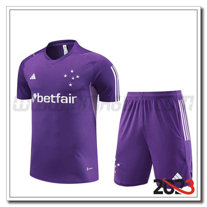 Kit Maglia Allenamento Cruzeiro + Pantaloncini viola 2023 2024
