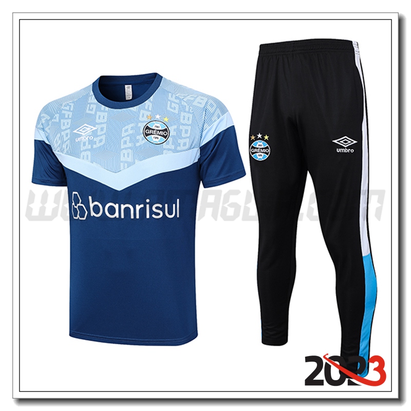 Kit Maglia Allenamento Gremio + Pantaloni Blu 2023 2024
