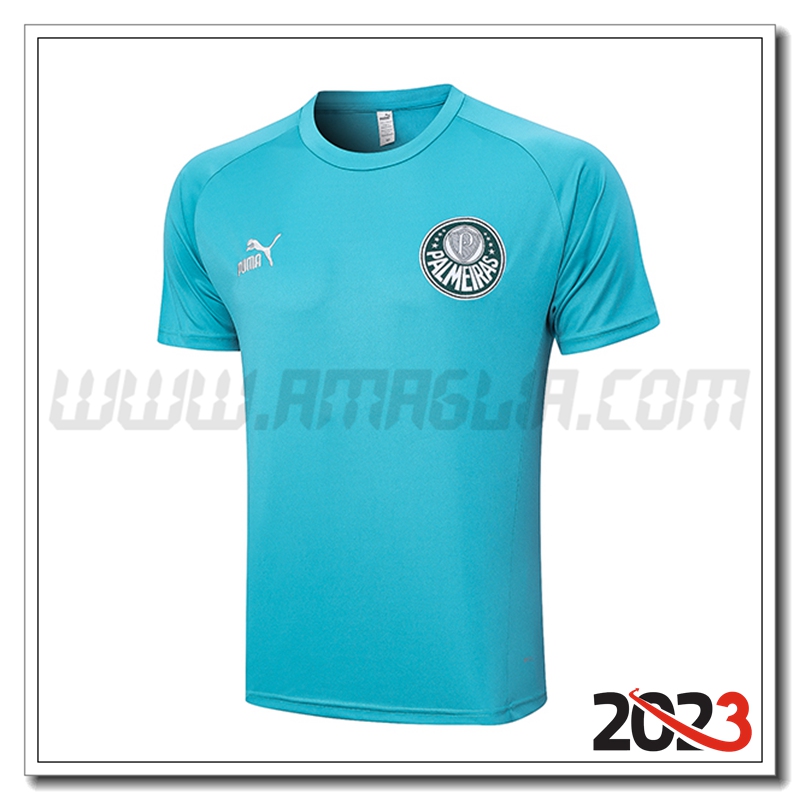 T Shirt Allenamento Palmeiras Verde 2023 2024