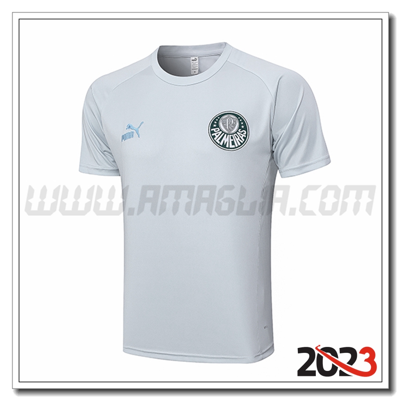 T Shirt Allenamento Palmeiras Grigio Chiaro 2023 2024