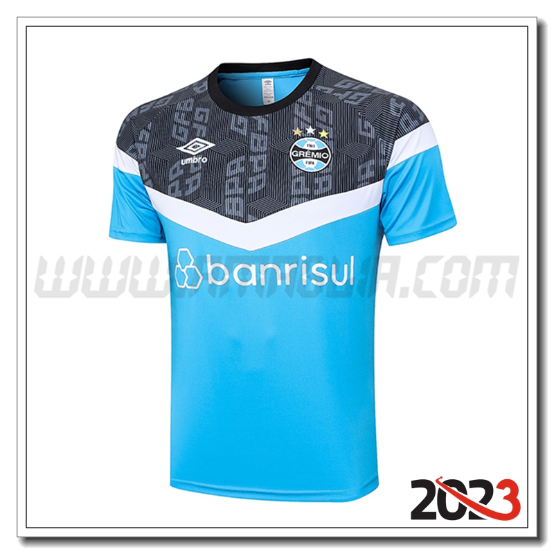 T Shirt Allenamento Gremio Azzurro 2023 2024 -02