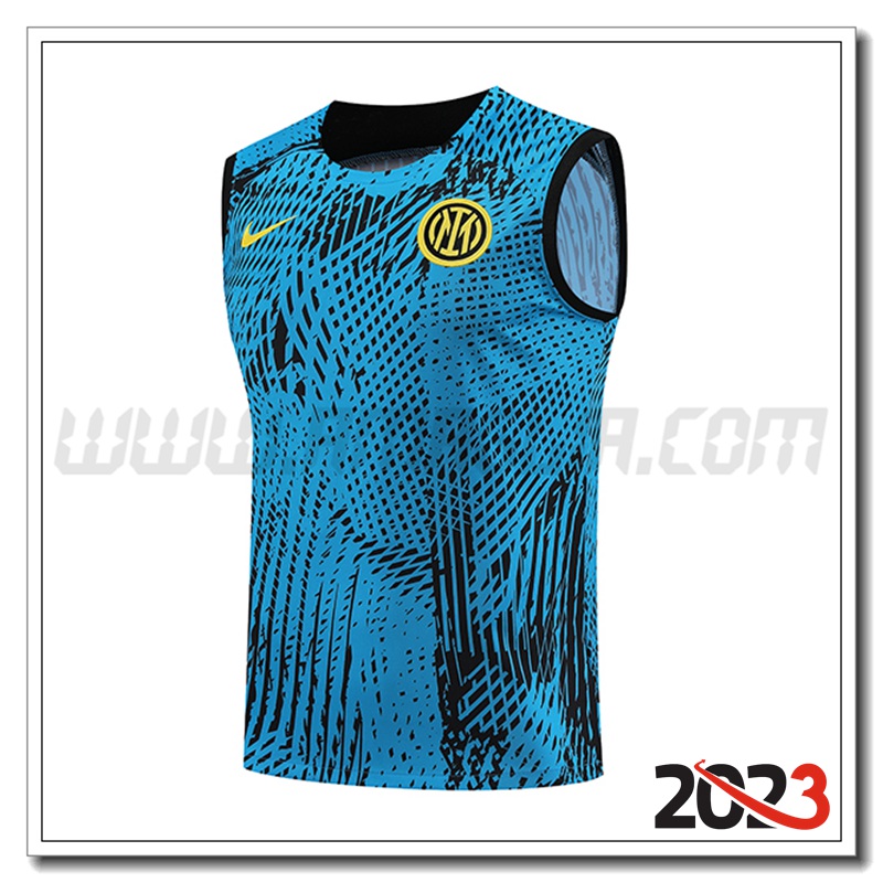 Canotta Allenamento Inter Milan Blu 2023 2024