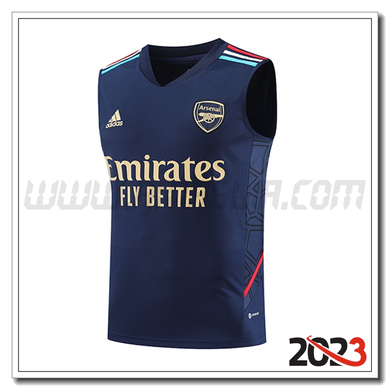 Canotta Allenamento Arsenal Blu Marina 2023 2024
