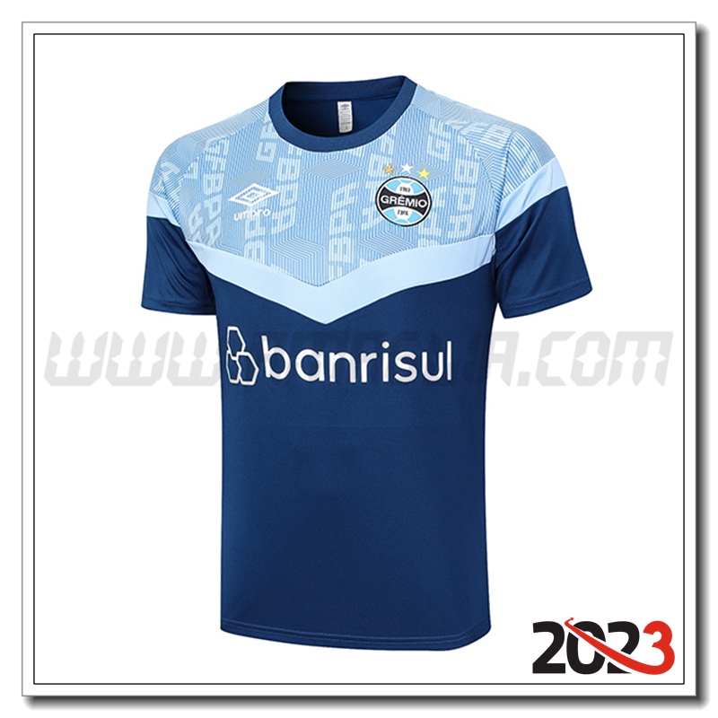 T Shirt Allenamento Gremio Blu 2023 2024 -02