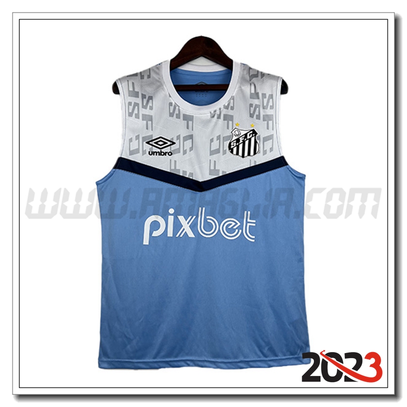 Canotta Allenamento Gremio Blu/Bianco 2023 2024