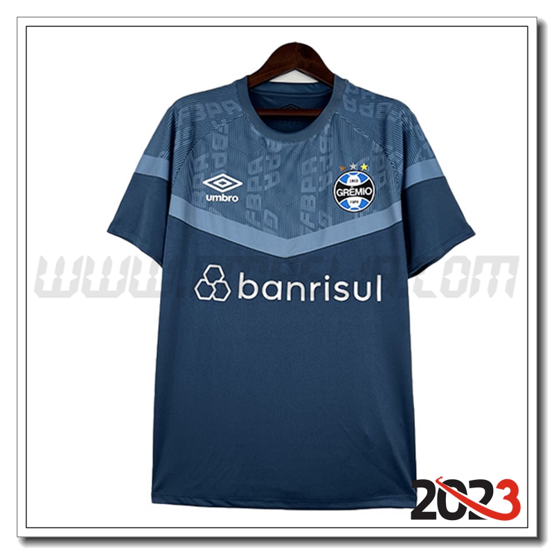 T Shirt Allenamento Gremio Azzurro 2023 2024 -03