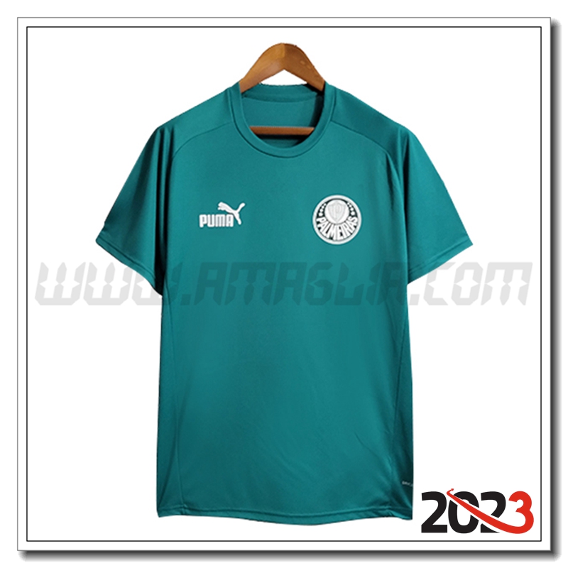 T Shirt Allenamento Palmeiras Verde 2023 2024 -02