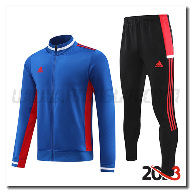Tuta Allenamento Giacca Adidas Blu 2023 2024
